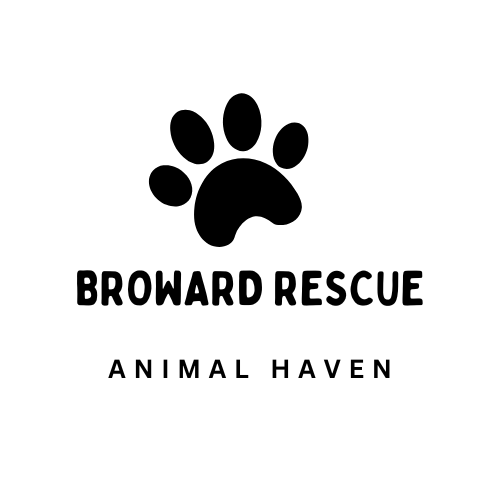 Broward Rescue